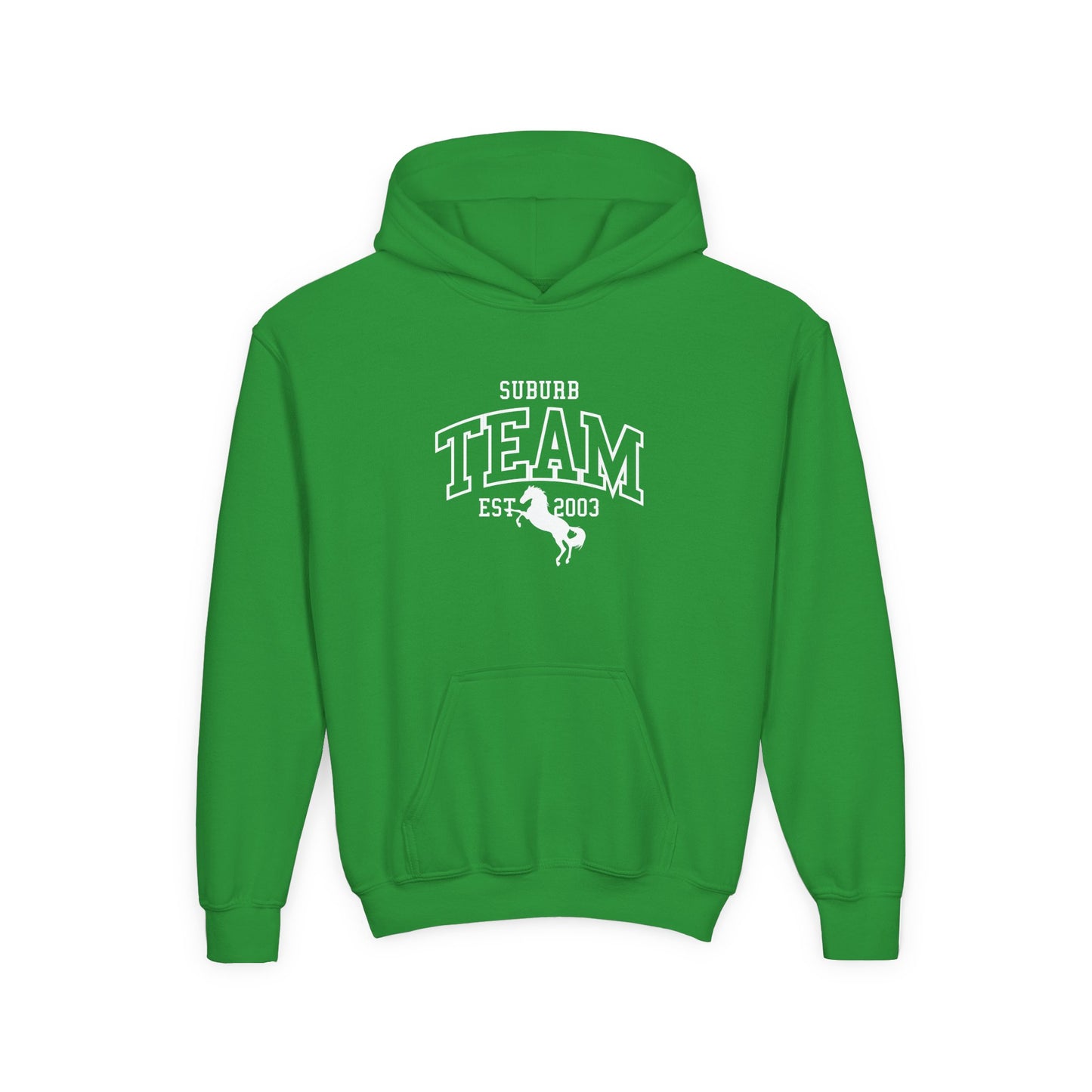 Youth Hoodie - Front Print