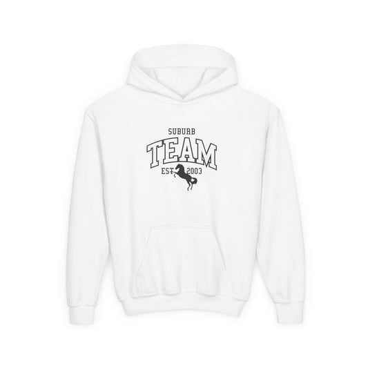 Youth Hoodie - Front Print