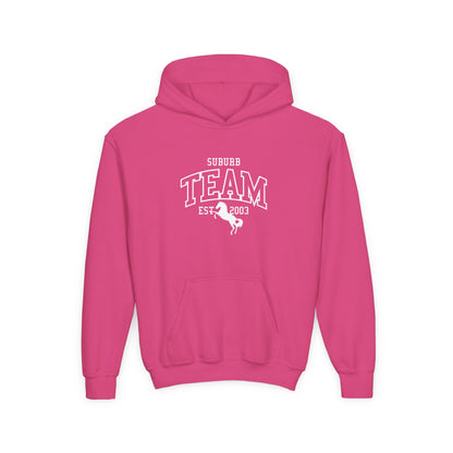 Youth Hoodie - Front Print