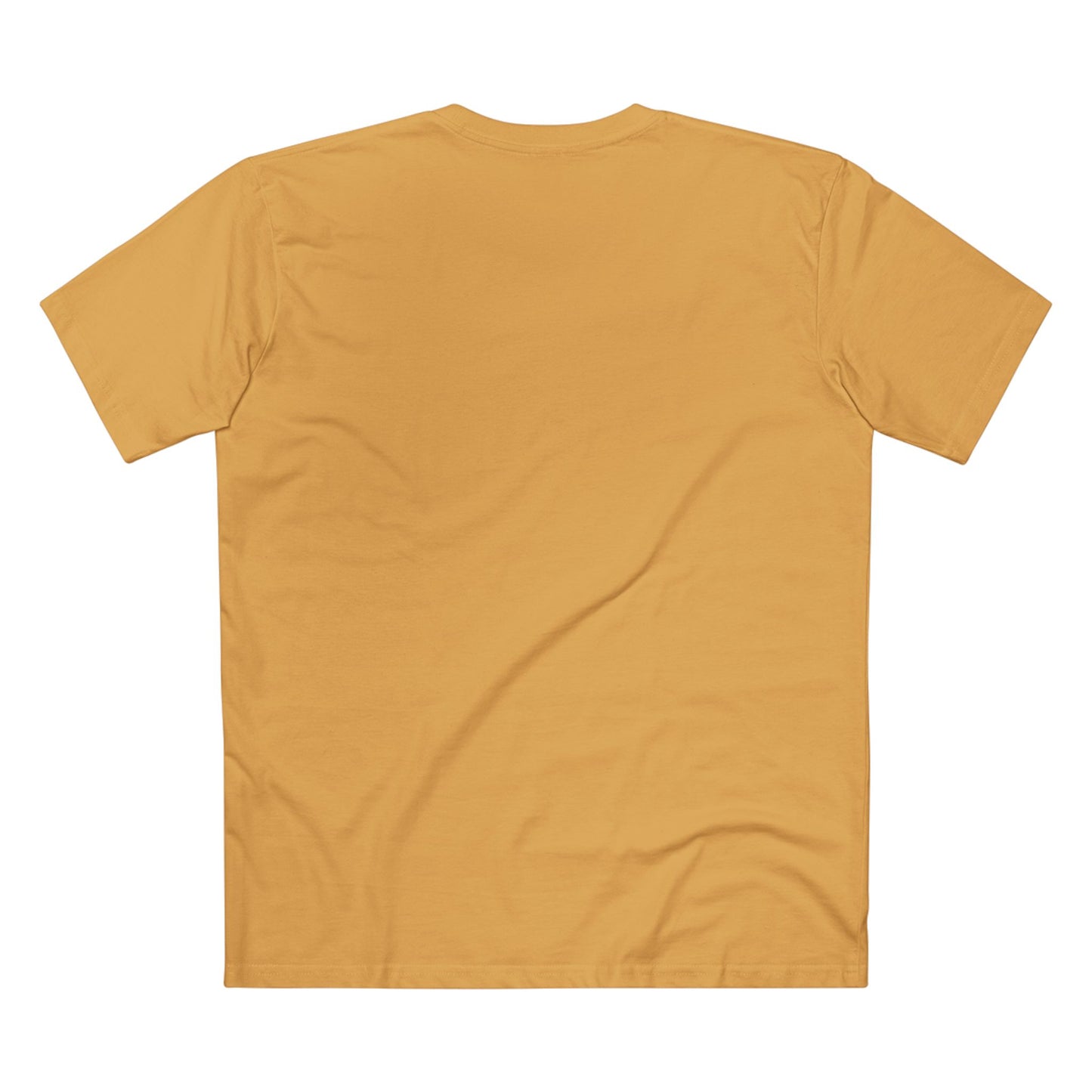 Brookdale Jousting Club T-Shirt